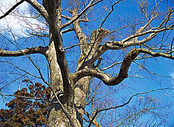 TGA 2023 获奖名单汇总：年度游戏《博德之门3》!