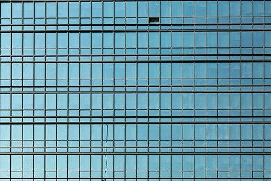 XGP八月上旬新增游戏 《四海兄弟：最终版》等